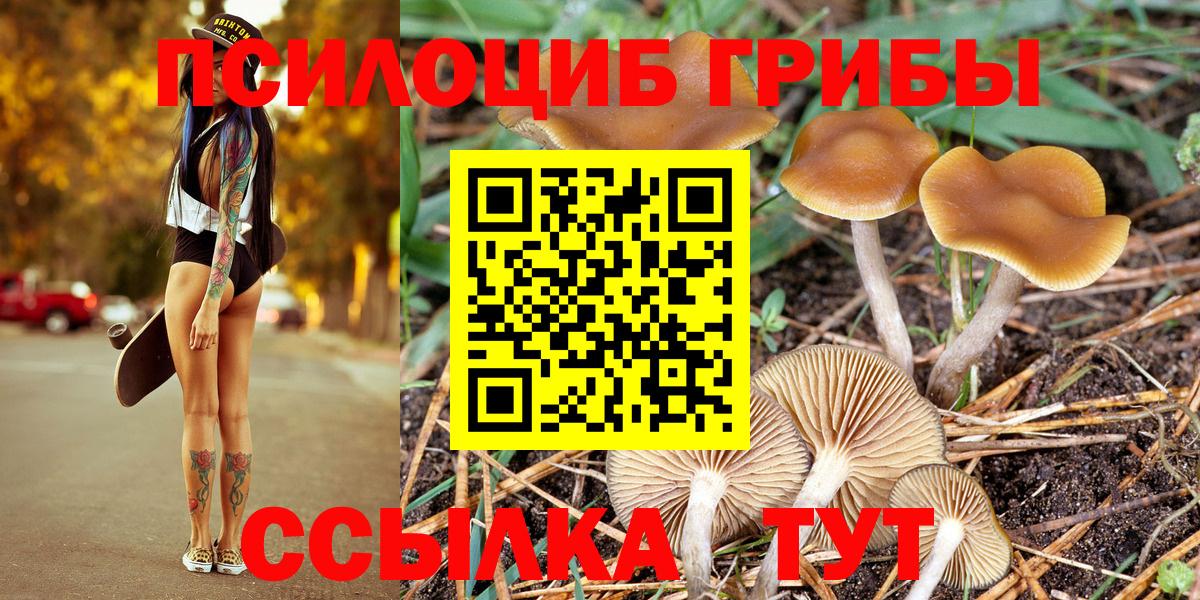 Александров  Галлюциногенные грибы MAGIC MUSHROOMS  Галлюциногенные грибы GOLDEN TEACHER  Вход с VPN 